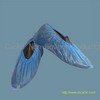 PE Shoes Cover